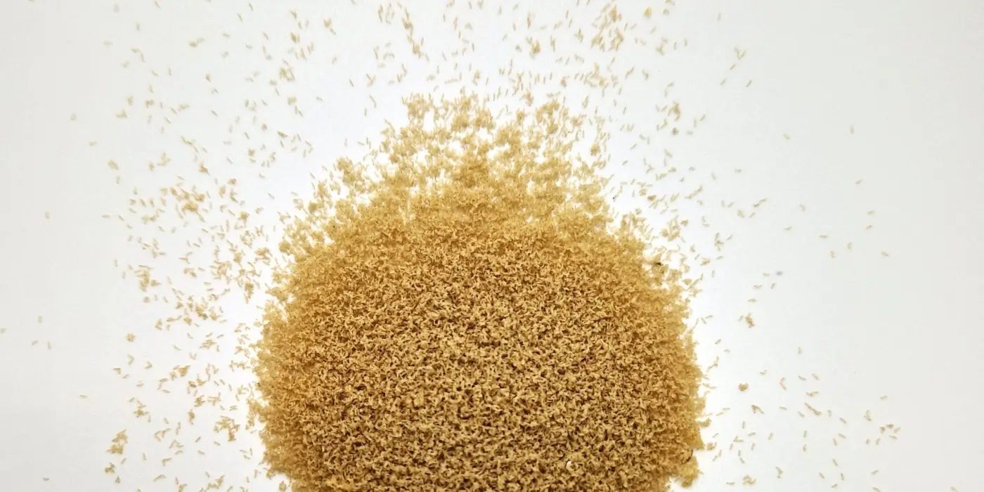 Nasekomo | Insect Bioconversion Biotech for Agriculture banner